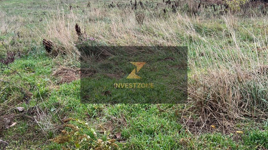 ⭐  Teren de 2.700 mp cu front generos – Ocazie în Oncea - Poză 1