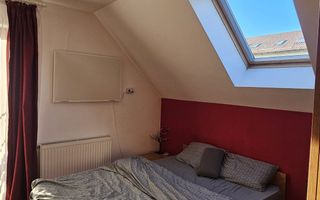 Casă / Vilă cu 8 camere de vânzare în Manastur, Cluj-Napoca - Poză 40