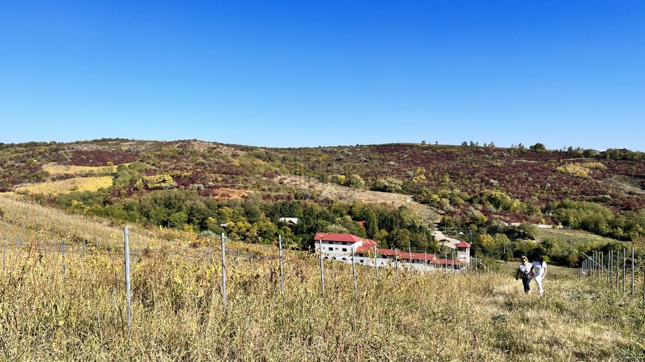 14Ha podgorie, livada pomi fructiferi, si conac 3000mp - Poză 10