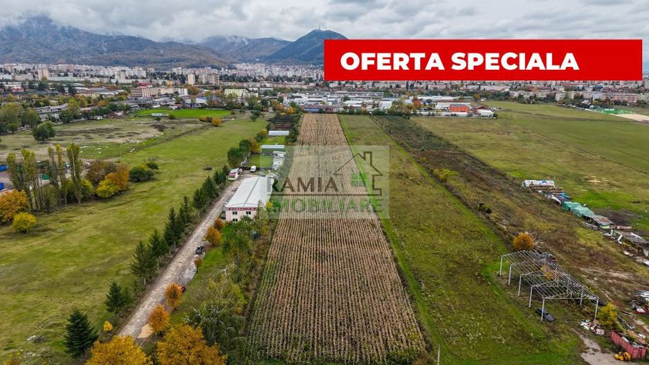 Teren industrial- Timișul Sec oportunitate investițională - Poză 2