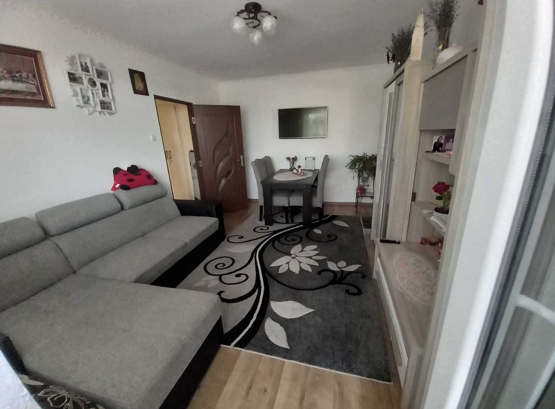 Apartament cu 2 camere pe Drumul Careiului - Poză 2