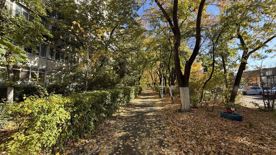 3 Camere | Metrou Tudor Vladimirescu | Partial mobilat - Poză 18