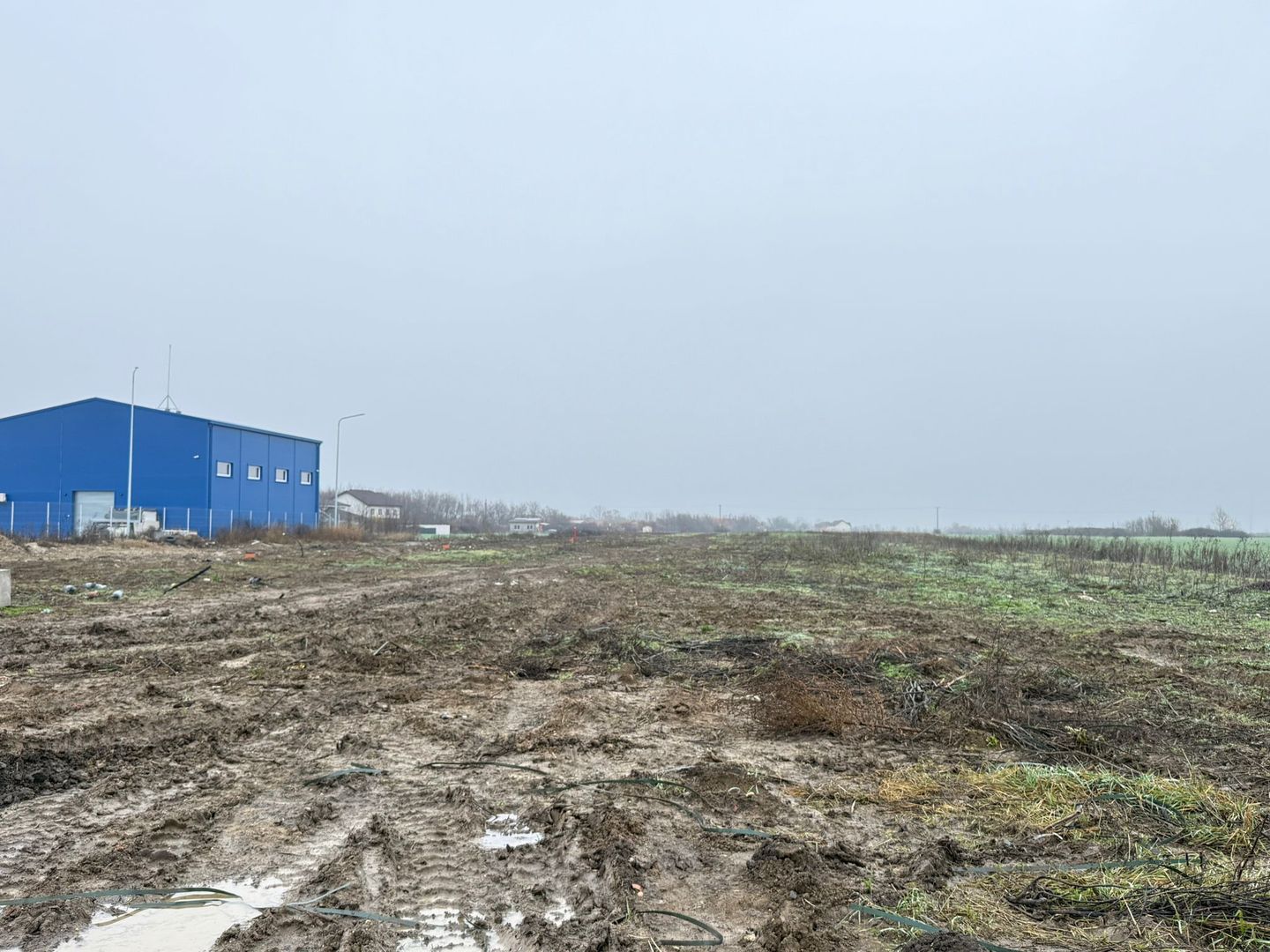 COMISION 0% | Teren Intravilan Covaci | 85 EURO/MP Zona in Dezvoltare - Poză 1