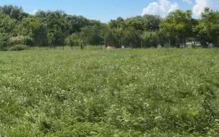 OPORTUNITATE lot de 1952mp in zona LIVADA, Sanpetru - Poză 2