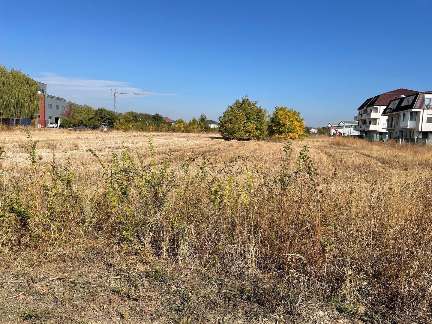 Teren 7714 mp Otopeni stradal - ideal investiție - Poză 2