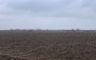 Teren intravilan rezidential in Corbeana, judetul Ilfov - Poză 5