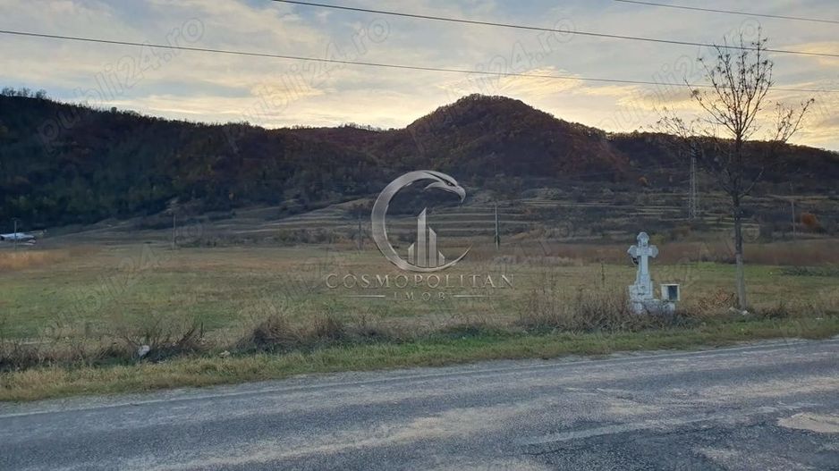 Teren intravilan zona Candesti BZ 10.000mp d=52m la DN10 Pret: 12 mp neg. - Poză 2