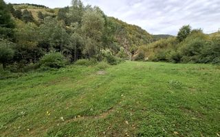 Teren Intravilan de Vânzare – 4000 mp – Râu Sadului - Poză 8