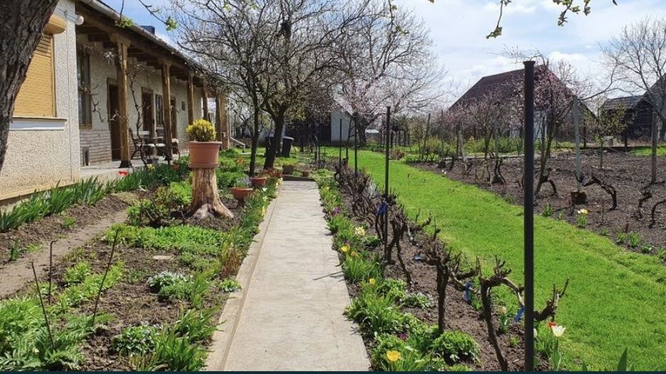 Vand casa in Com.Petresti, ultracentral, 42 ari teren - Poză 1