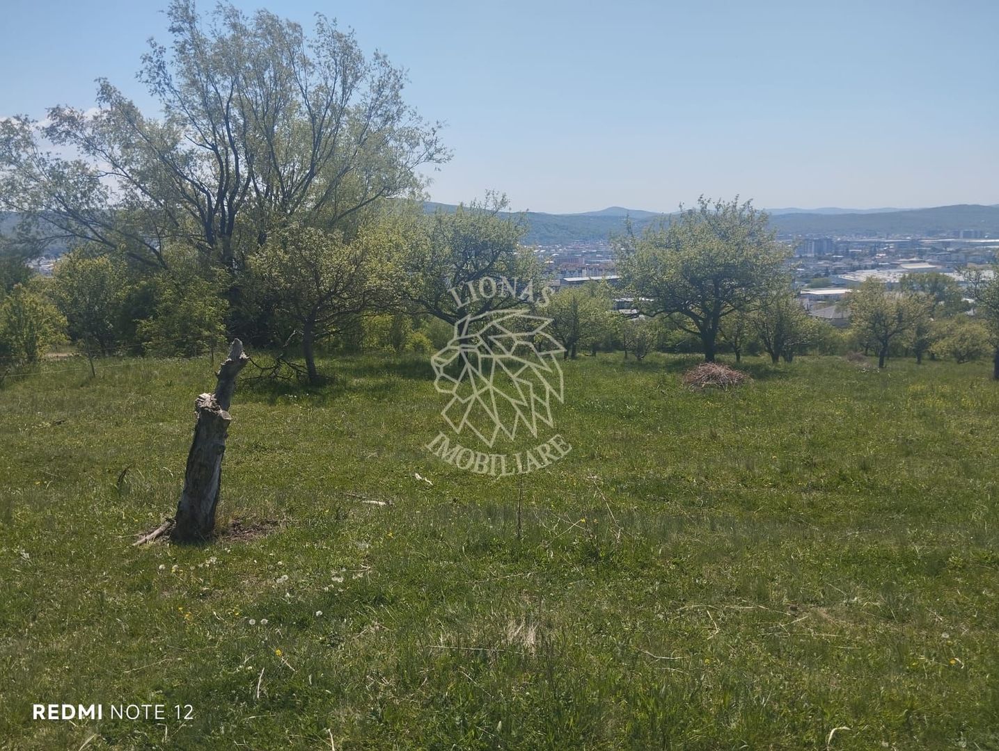 Teren 2900 mp la drum principal-Parcelabil-panoramic-Sarata - Poză 3