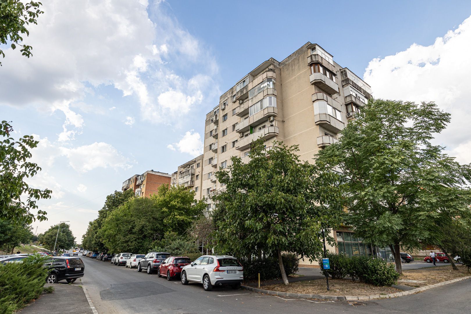REZERVAT!Vedere directă spre faleza Mureșului, Micalaca 300 - Poză 11
