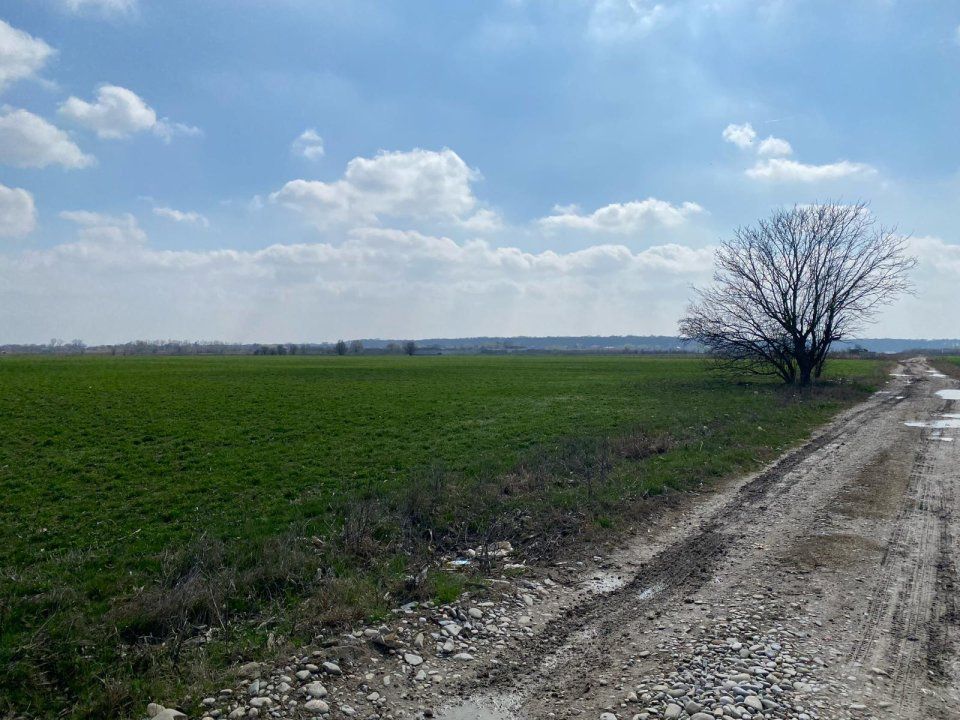 Teren Intravilan Snagov - Poză 1