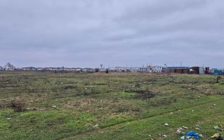 Teren intravilan 31497 mp - Chitila zona industriala de hale - Poză 5