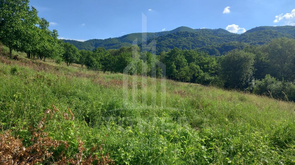 Teren în Fântânele – 3.673 mp, pârâu si cadru natural  deosebit - Poză 10