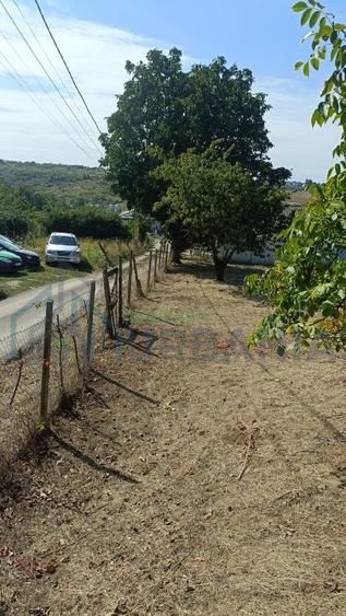 Teren de vânzare, suprafață 1040mp - Poză 6