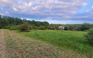 Teren intravilan in Gepiu - Poză 3