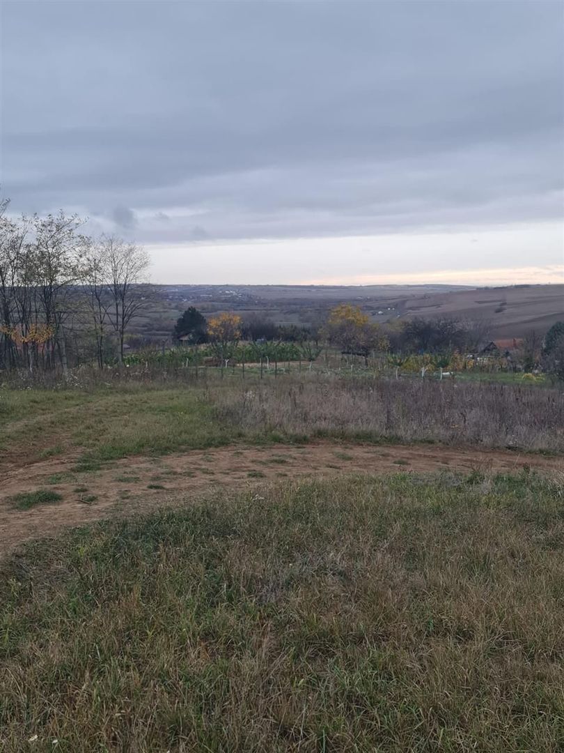 Teren Cetariu 9900 mp - Poză 7