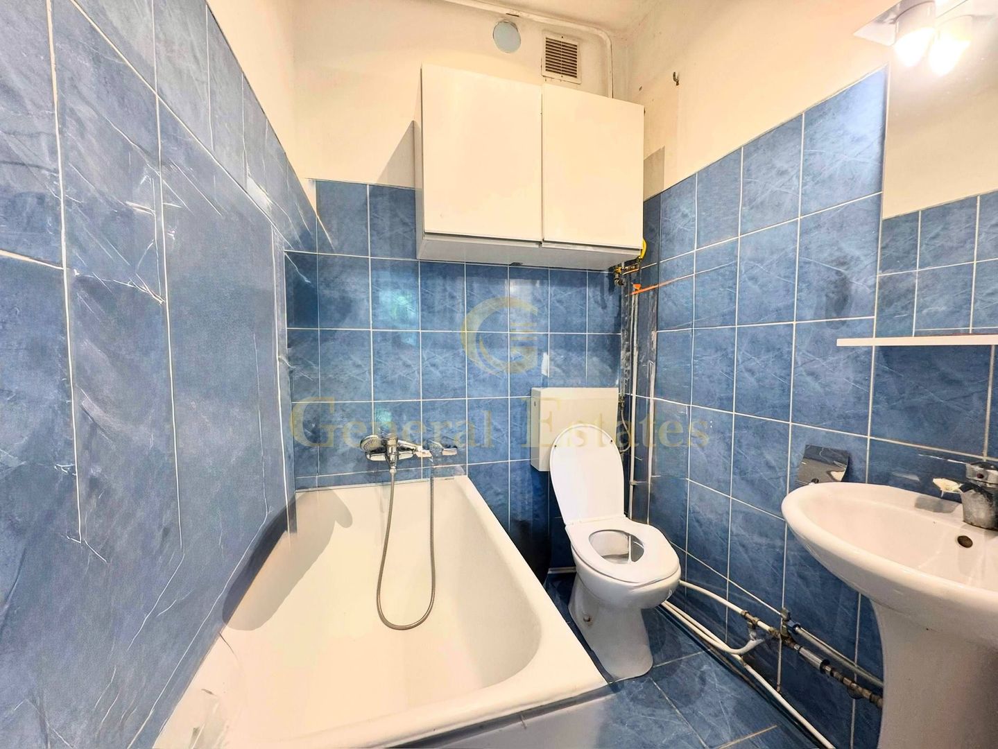 Vânzare Casă cu aplasare Strategică - Copou - Parcul Expoziției - Poză 16