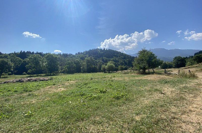 Teren extravilan de vânzare în Râșnov | 6.070 mp | Vedere panoramică - Poză 5