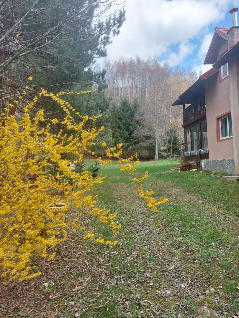 CASĂ DE VACANȚĂ 5 CAMERE,POINANA MĂRULUI, JUD.CARAȘ-SEVERIN - Poză 2