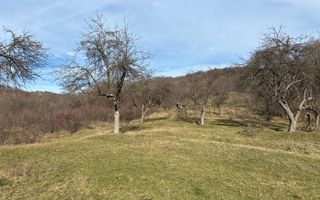 Teren  extravilan I 5300 mpI  Salatrucel -Calimanesti - Poză 2