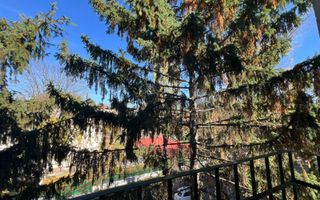 Apartament 2 camere - Jean Monnet - Poză 12