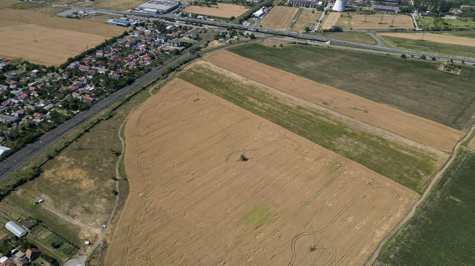 Tern intrevilan 4003 mp - Poză 5