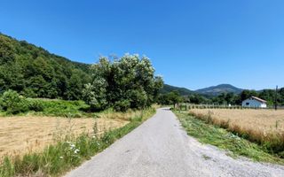 2500 mp TEREN INTRAVILAN IN MUNTII APUSENI, Negreni – Cluj - Poză 5