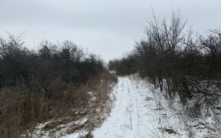 Teren extravilan/ fostă livadă/ zona Bucium, Iași - Poză 3