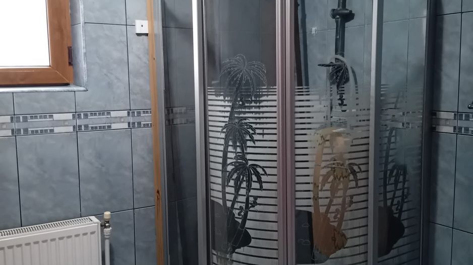 Casă Spațioasă P+1+M, 265 mp Utili, 1000 mp Teren – Toate Utilitățile, Vânători - Poză 9