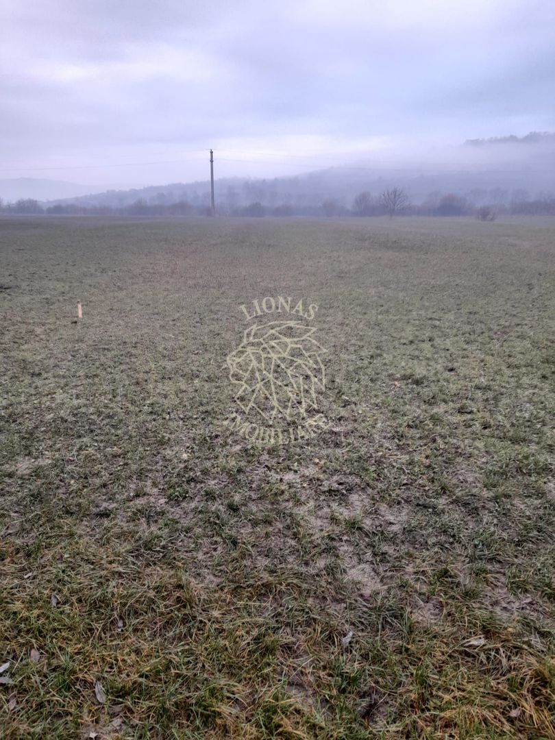 Teren 1698 mp-ideal investitie-Dumitrita, 15 km de Bistrita - Poză 4