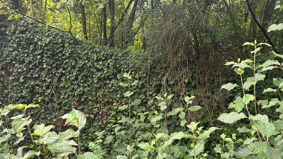 De vanzare teren cu casa de renovat Dej central - Poză 3