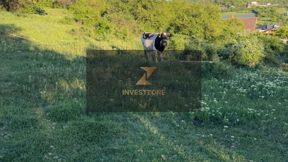⭐  Teren de 2.700 mp cu front generos – Ocazie în Oncea - Poză 6