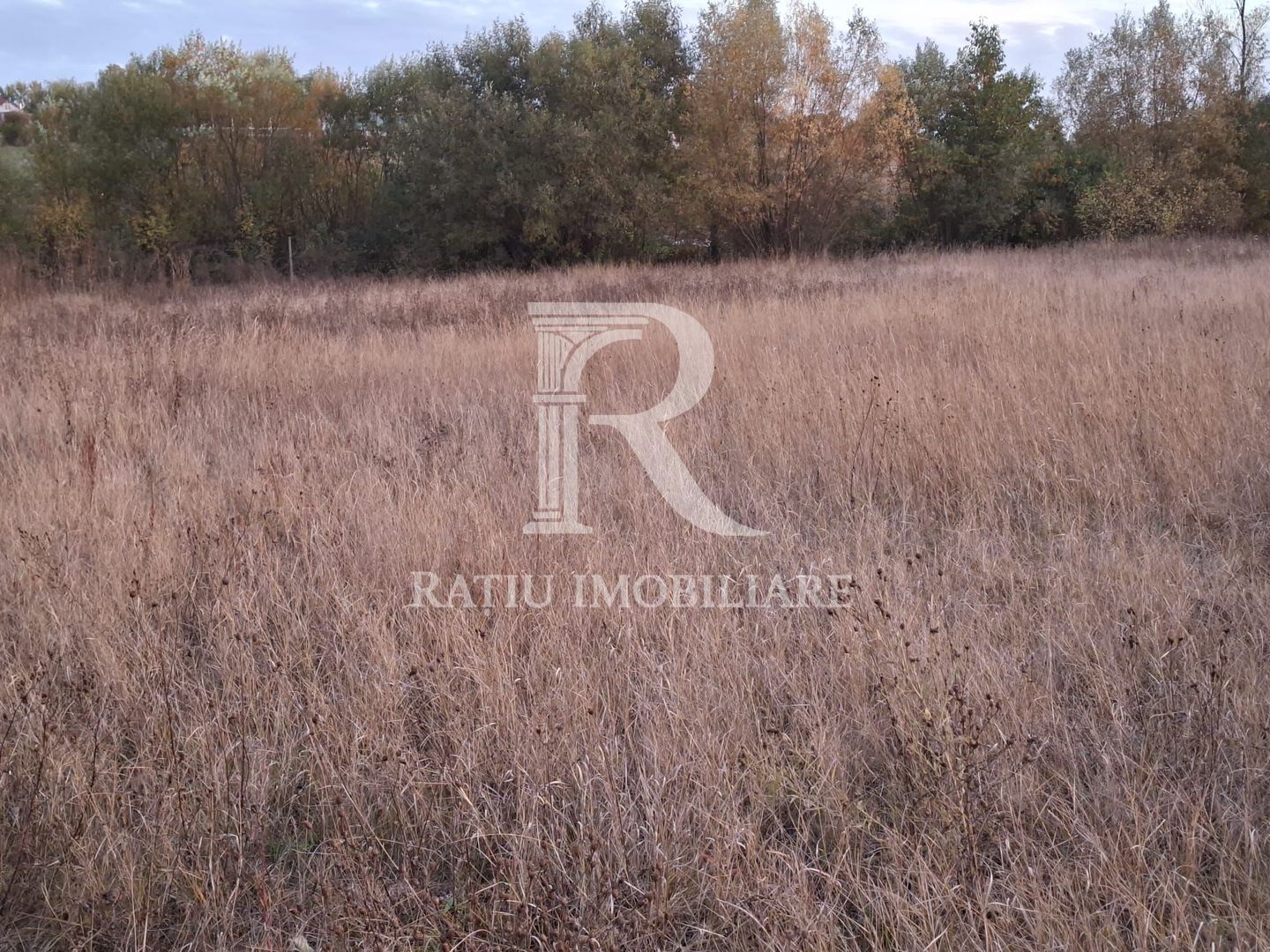 Teren extravilan | 3400 mp  | Hidiselul de Sus | Oradea | Bihor - Poză 3