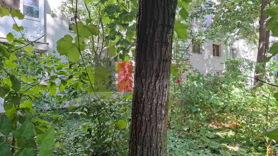 Apartament Piata Victoriei-Titulescu - Poză 10