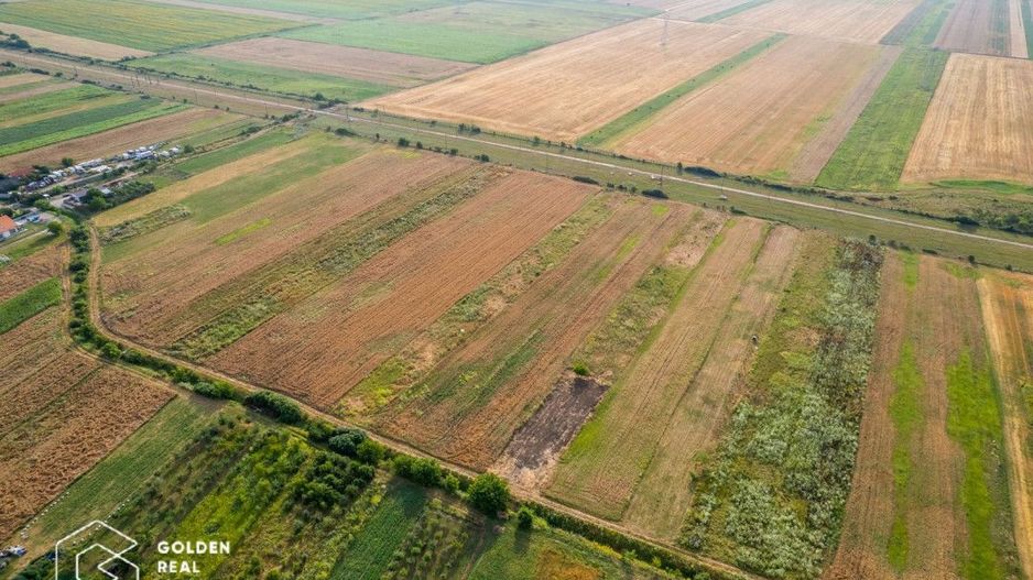 Teren intravilan 5000 mp, arabil in Sanleani - Poză 3