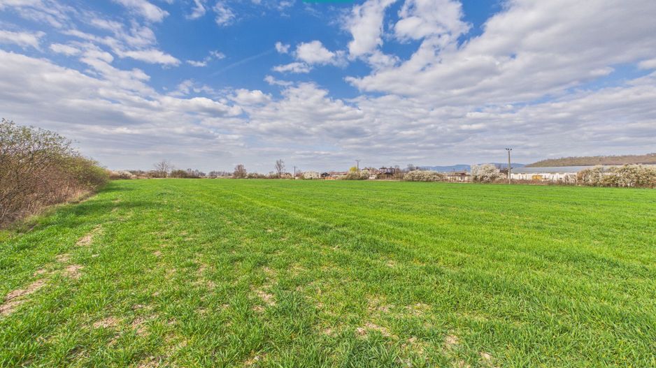 Teren extravilan, 1 ha, în orașul Sebiș, Arad - Poză 10