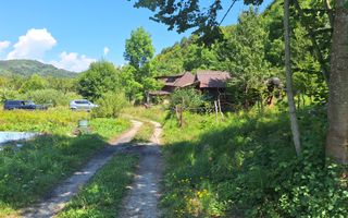 VANZARE ANSAMBLU CASUTE BRADULET ARGES - Poză 15