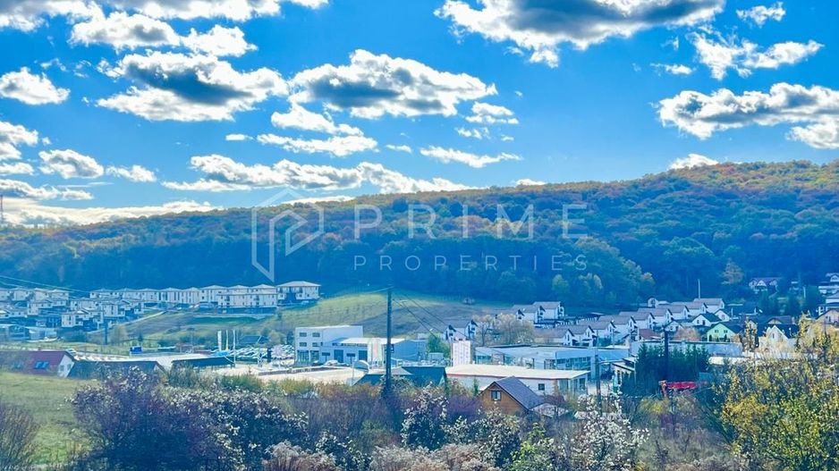 Teren cu potențial multiplu de dezvoltare – Corunca, E60, 10.000 mp - Poză 1