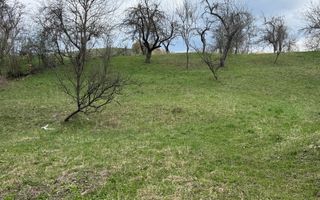 TEREN INTRAVILAN 4365 MP POENARII DE MUȘCEL  JUDEȚUL ARGES - Poză 29