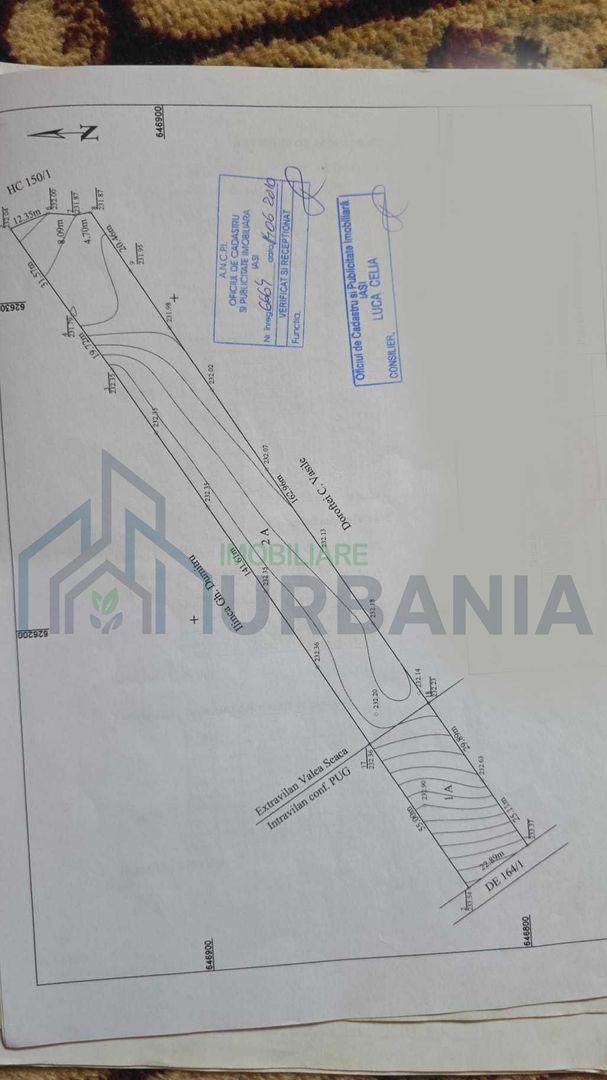 Teren cu vie și livadă, 5442 mp, Contesti (Valea Seaca), Iasi - Poză 8