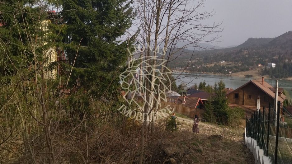 Teren intravilan 1615 mp-ideal cabane turism-Colibita - Poză 7