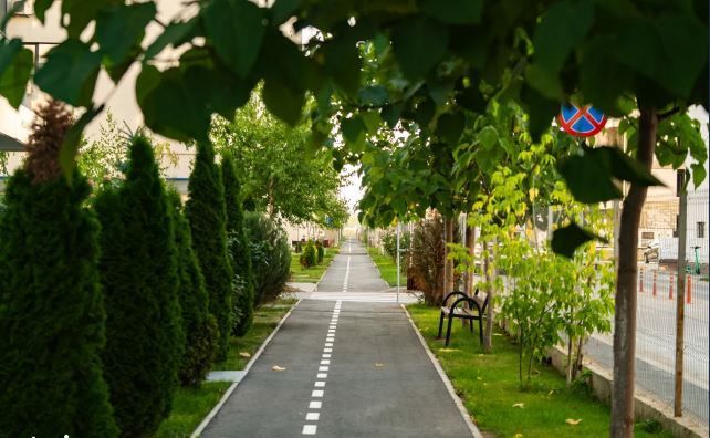 Studio Ivory Residence - Investiție cu Randament Imediat - 0% comision - Poză 6