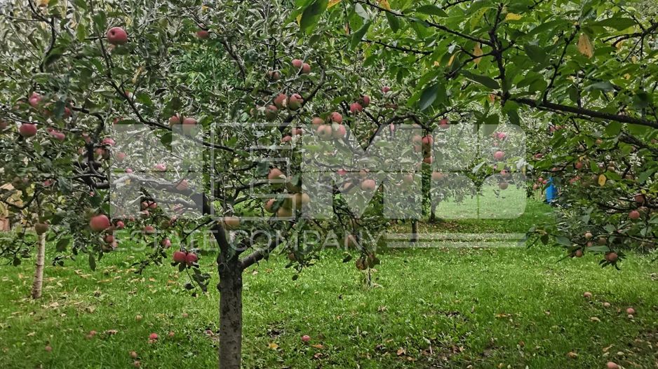 Casă/Vila + Teren 13 Ari de Vânzare |Lisaura/Suceava I 260.000Euro - Poză 20