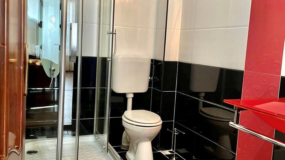 Casa lux in localitatea Sânmartin - Poză 15