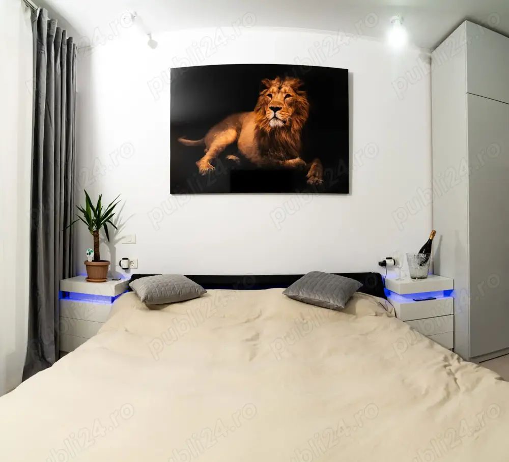 De închiriat: Apartament 2 camere lux și confort | Zona Parcul Carol - Viilor - Poză 3