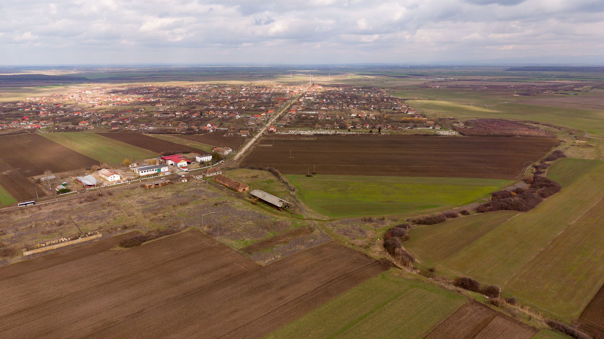 Fermă cu teren intravilan de 35000 mp în Mișca - Poză 6