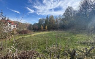 TEREN INTRAVILAN 13167 MP BUGHEA DE SUS ARGES - Poză 2