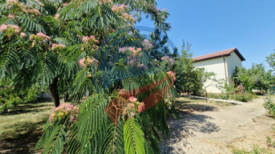 CASA P +E  5 camere -Cosoveni - Poză 17