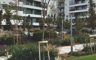 Apartament 3 camere - Poză 2